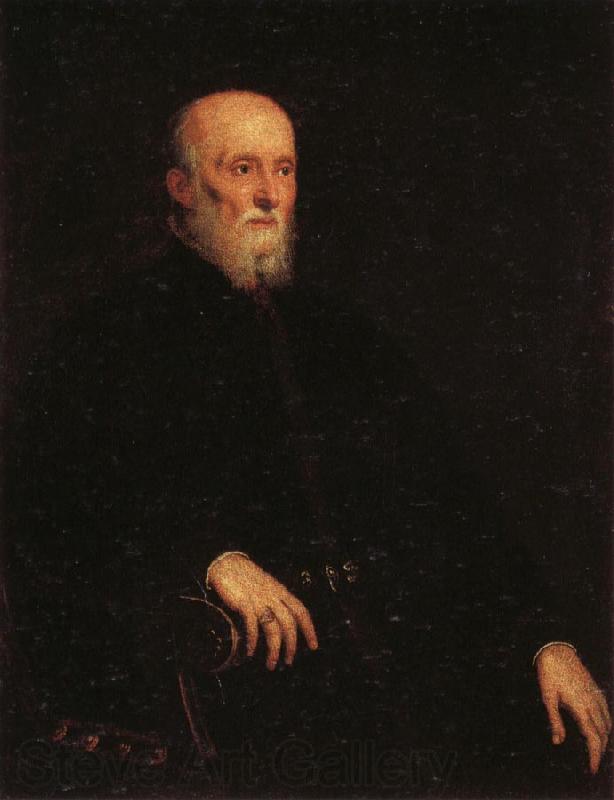 Jacopo Tintoretto Portrati of Alvise Cornaro Spain oil painting art